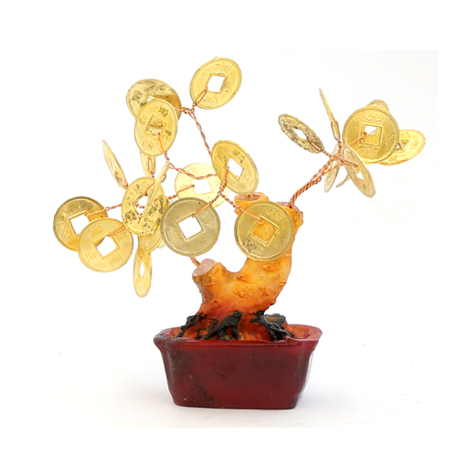 Денежное дерево мало-среднее 9 см