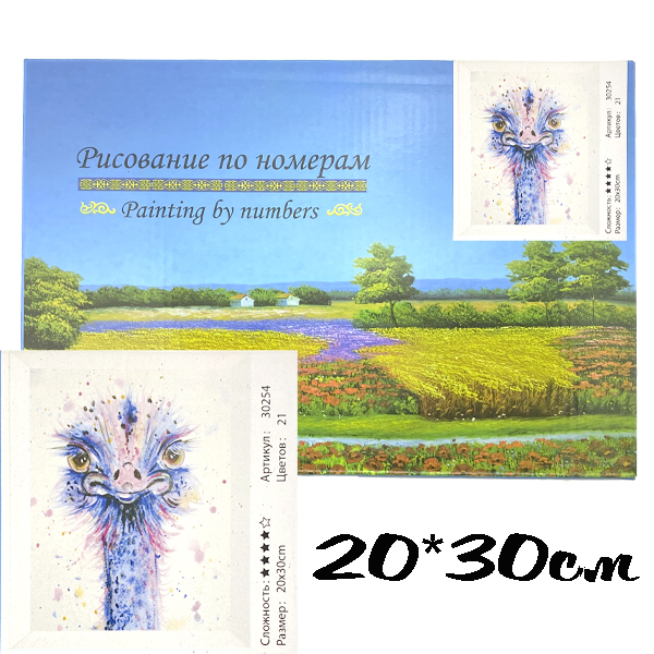 Картина по номерам 20х30 страус цветной