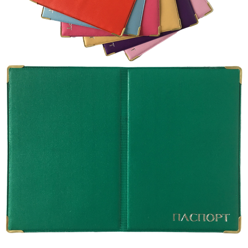 Обложка  на паспорт  цветная  ПАСПОРТ  (12)