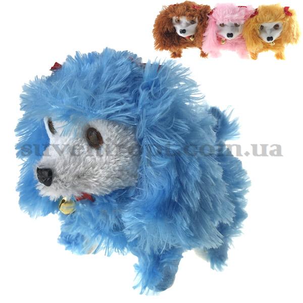 Собака висловуха пухнаста ходить танцює і співає /140/