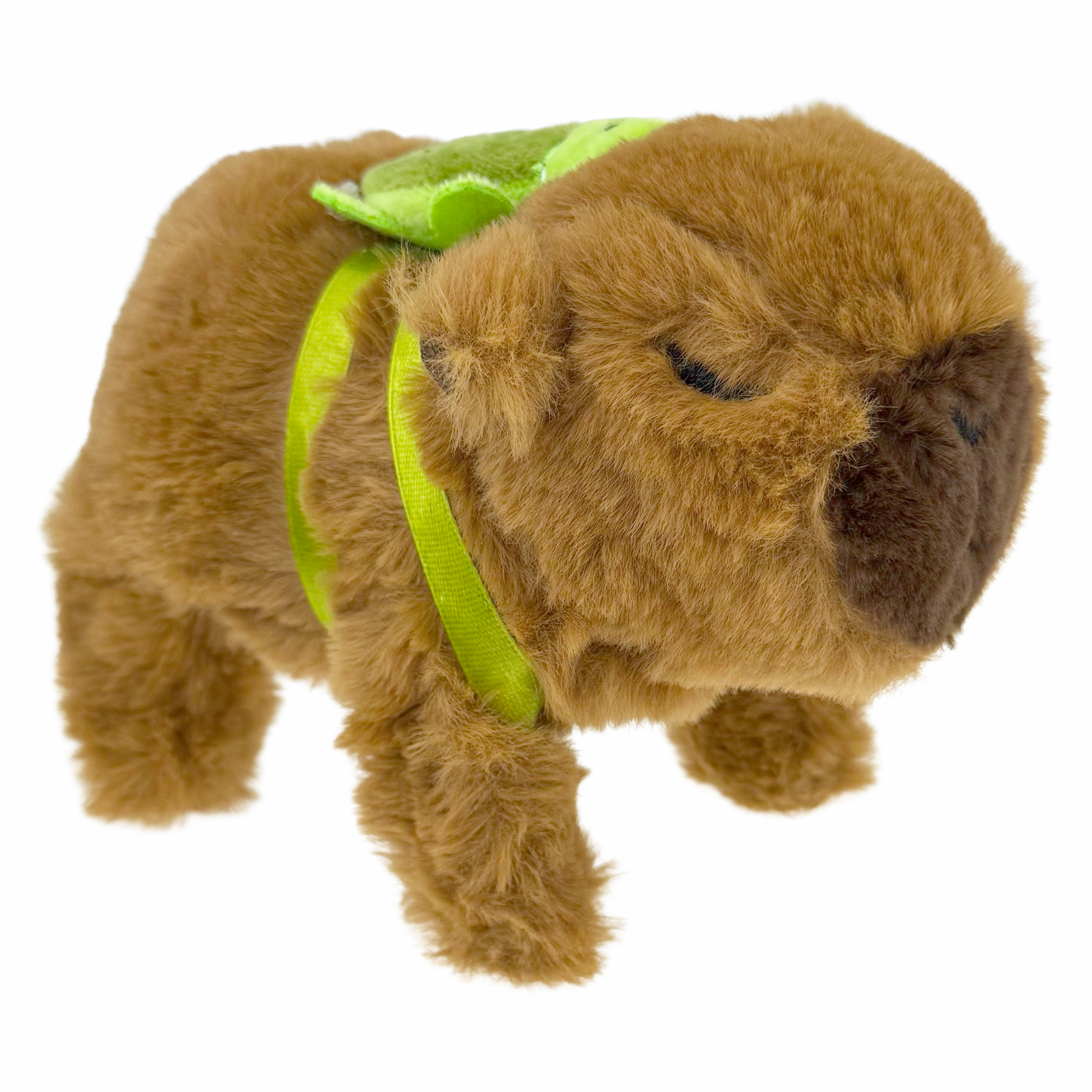 Капибара із штучного хутра бігає і підстрибує пищіть з черепашкою на спині /144/